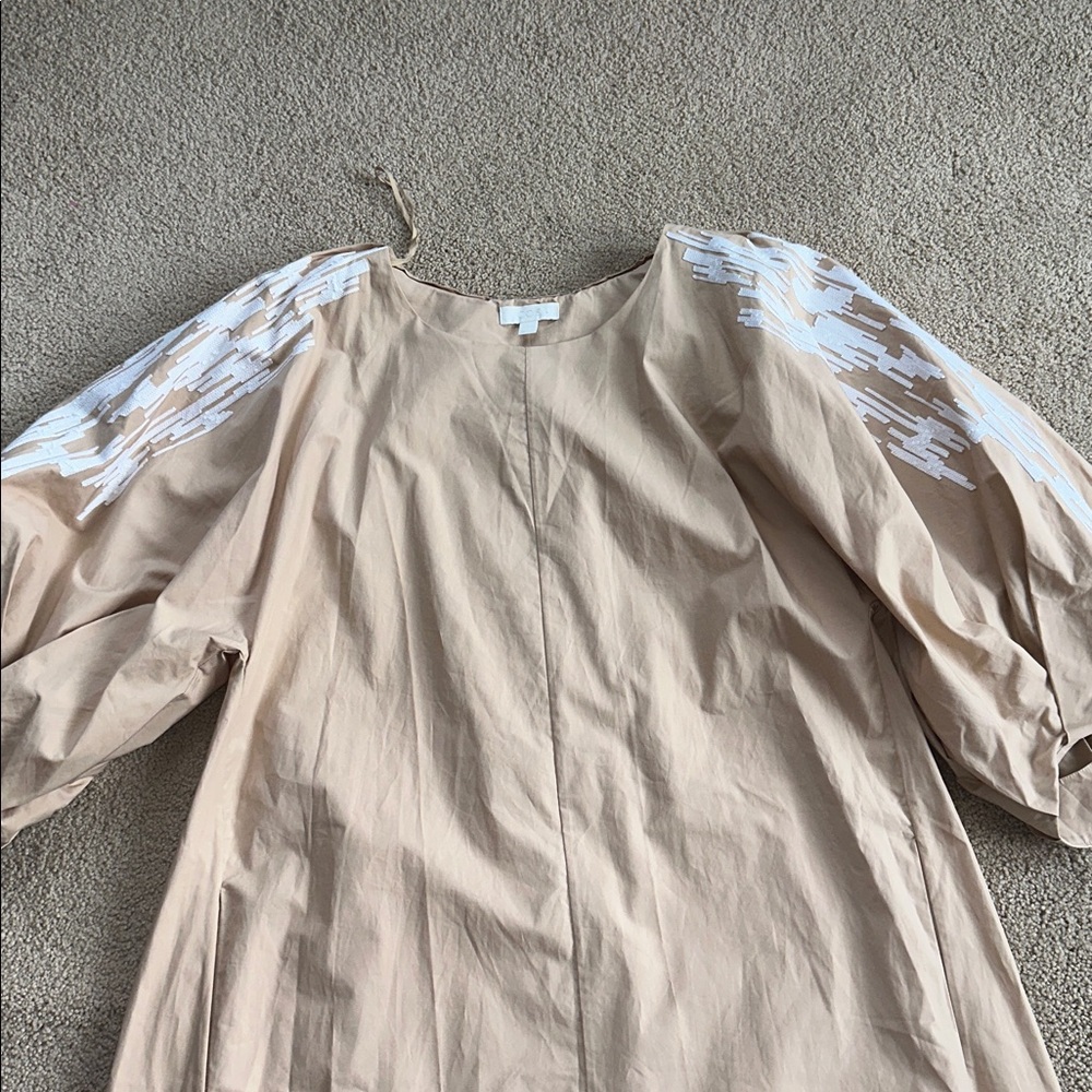 COS Embroidered Puff Sleeve Dress - Picture 6 of 13
